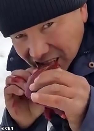 Βίντεο που σοκάρει: Κυνηγοί τρώνε ωμή καρδιά λύκου που σκότωσαν [εικόνες & βίντεο] | iefimerida.gr 2