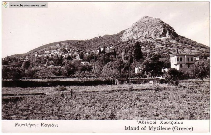 Η Μυτιλήνη το '50, ένα διαμάντι στο Αιγαίο, σαν καρτ ποστάλ -Με μοναδικά αρχοντικά [εικόνες] | iefimerida.gr 15
