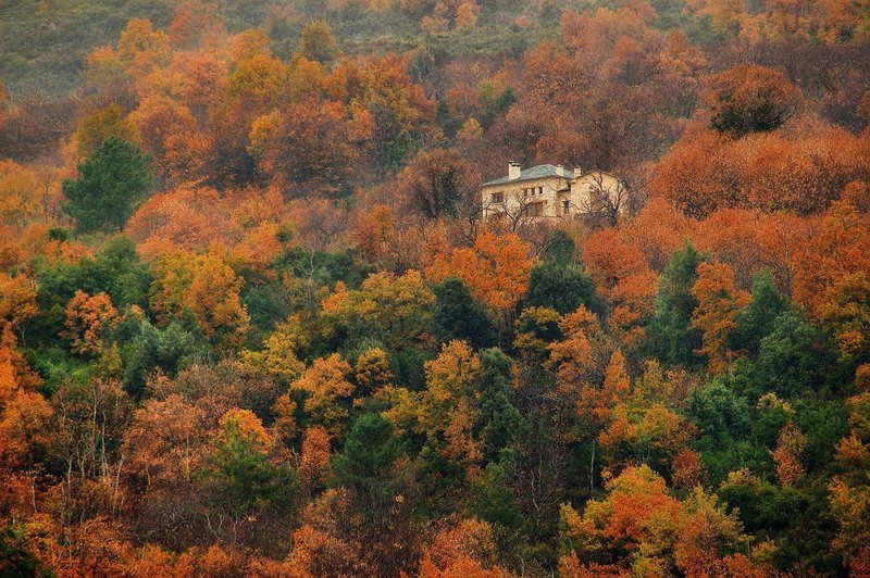 Το βγαλμένο από παραμύθι πέτρινο σπίτι σε δάσος στο Πήλιο -Χωμένο μέσα στα δέντρα, παραδοσιακό και χουχουλιάρικο [εικόνες] | iefimerida.gr 8