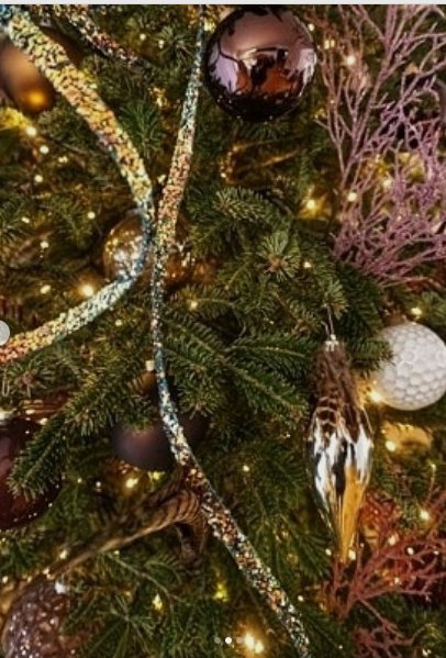  Ο Σπύρος Σούλης και η Σίσσυ Φειδά πήραν «Οσκαρ» στολισμού δέντρου- Το ένα μίνιμαλ, το άλλο με... κοράλλια [εικόνες] | iefimerida.gr 1