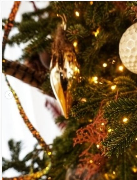  Ο Σπύρος Σούλης και η Σίσσυ Φειδά πήραν «Οσκαρ» στολισμού δέντρου- Το ένα μίνιμαλ, το άλλο με... κοράλλια [εικόνες] | iefimerida.gr 2