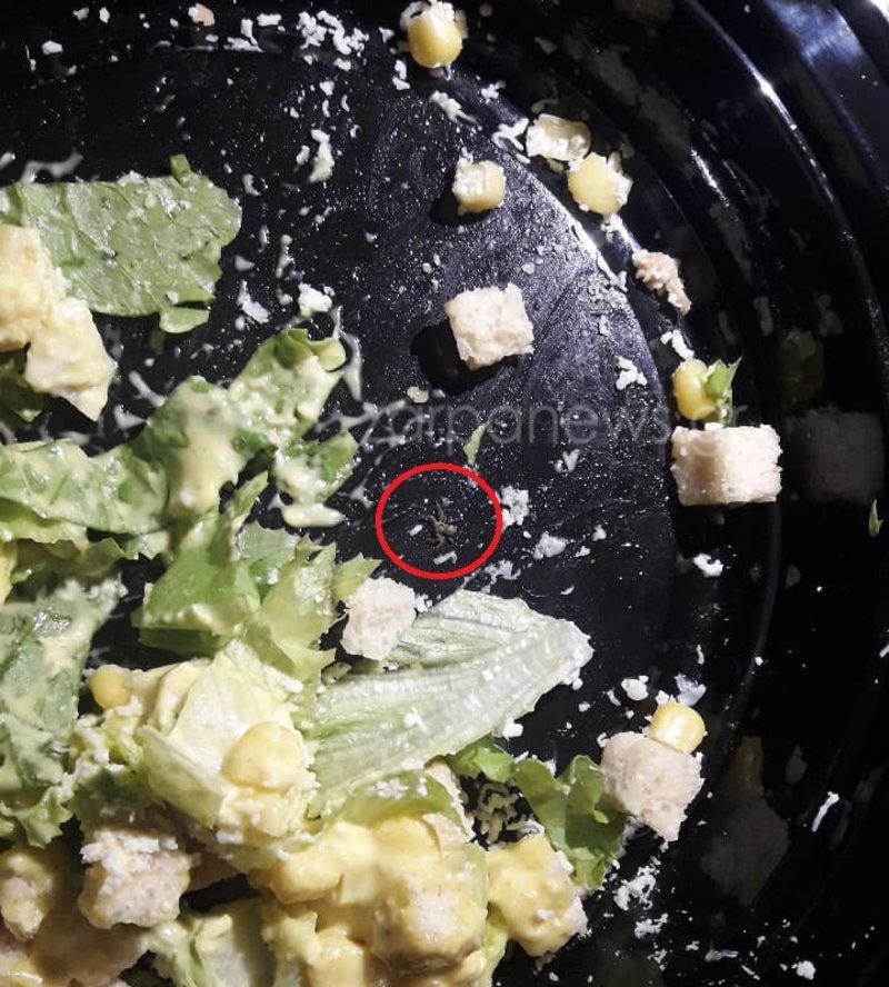 Σέρβιραν σαλάτα με αράχνη σε σουβλατζίδικο των Χανίων [εικόνες] | iefimerida.gr 1