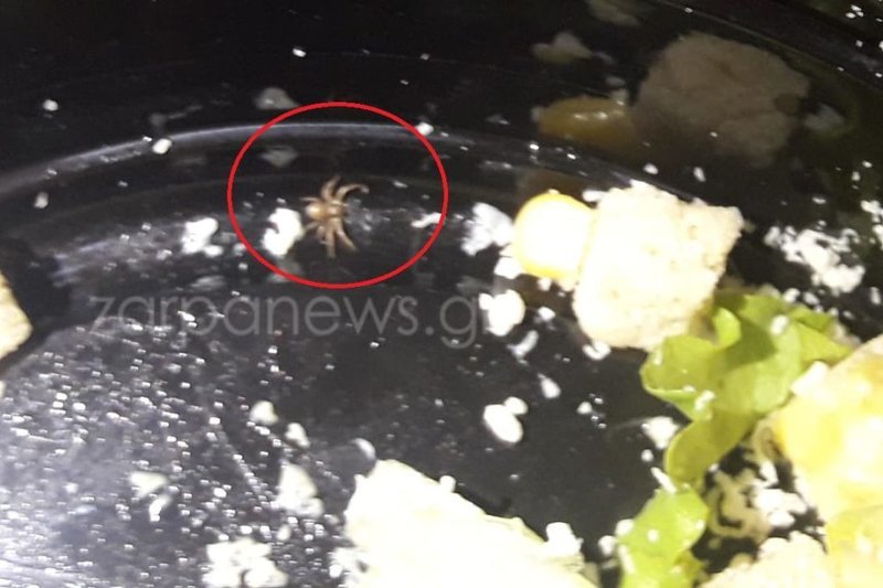 Σέρβιραν σαλάτα με αράχνη σε σουβλατζίδικο των Χανίων [εικόνες] | iefimerida.gr 0