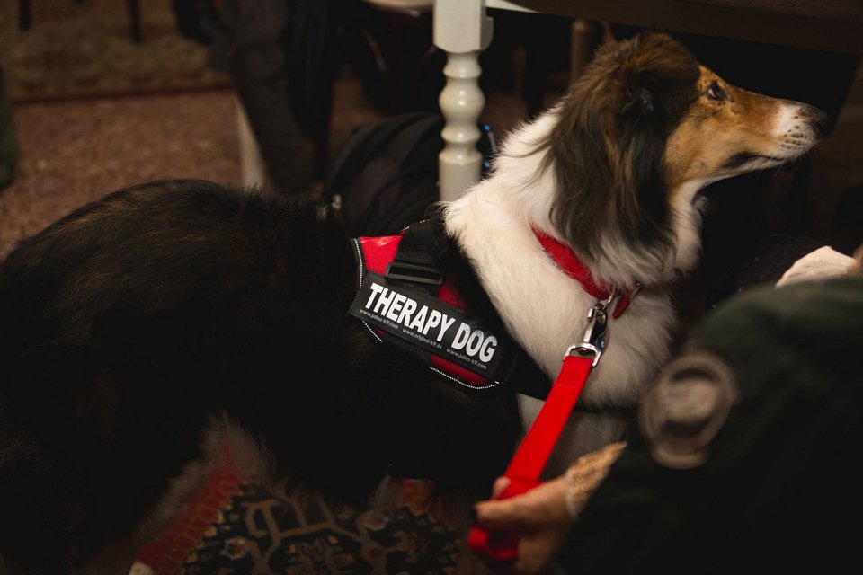 12 ηθοποιοί μεταμορφώθηκαν τόσο, που είναι αγνώριστοι [εικόνες] | iefimerida.gr 6