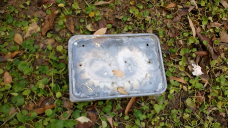 Θεσσαλονίκη: Δεν πίστευαν στα μάτια τους- Βρήκαν στην αυλή πύθωνα μέσα σε κουτί [εικόνες] | iefimerida.gr 0