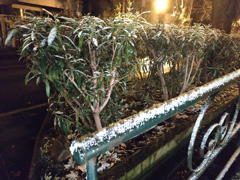 Σφοδρή χιονόπτωση στην Κηφισιά [εικόνες & βίντεο] | iefimerida.gr 12