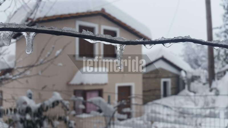 Εικόνα από το Λιανοκλάδι