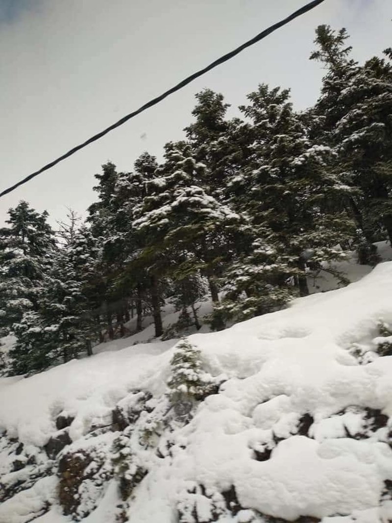 Πυκνό χιόνι έχει σκεπάσει το Μαίναλο