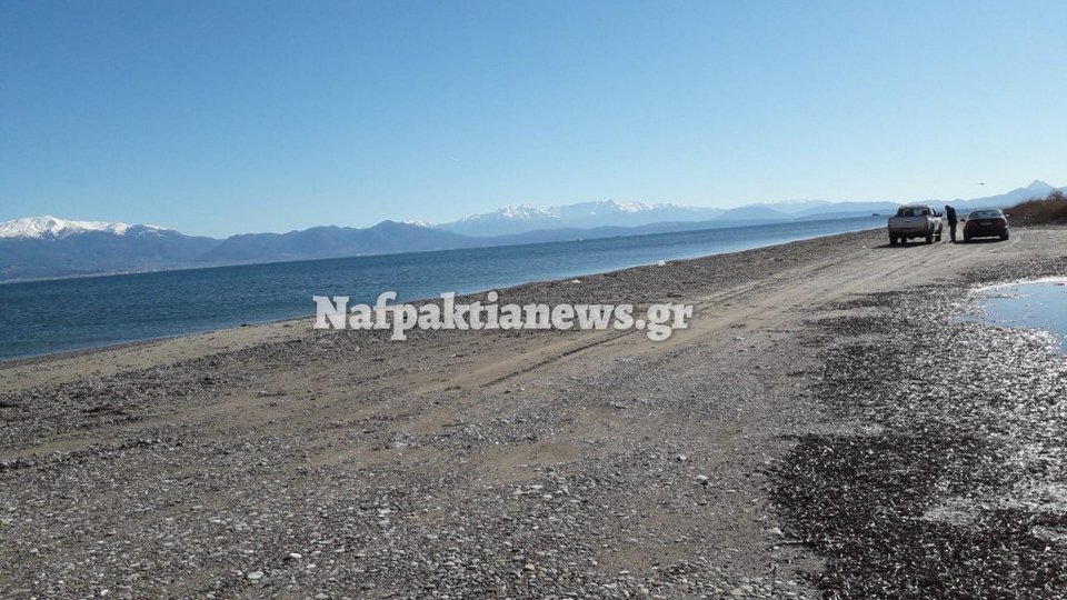 Πτώση διθέσιου αεροσκάφους στο Μεσολόγγι - Επτά σκάφη στις έρευνες | iefimerida.gr 3