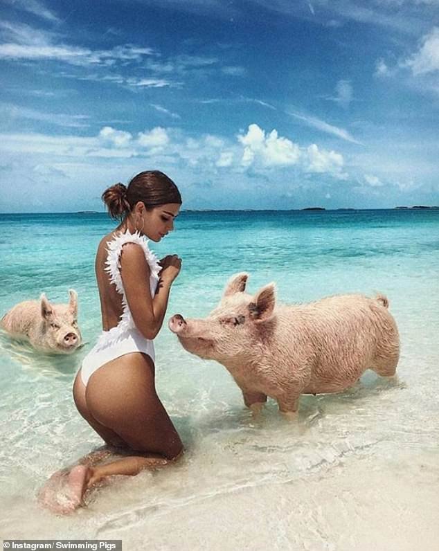 Μπάνιο δίπλα σε ενυδρείο και δείπνο με καμηλοπαρδάλεις –Ετσι έκαναν Πρωτοχρονιά τα Richs Kids [εικόνες] | iefimerida.gr 0