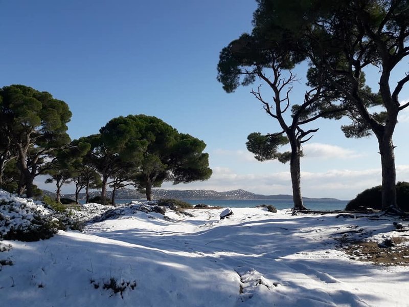 Οι αμμόλοφοι έχουν καλυφθεί από το χιόνι / Φωτογραφία: Facebook/Popi Hatzidimitriou