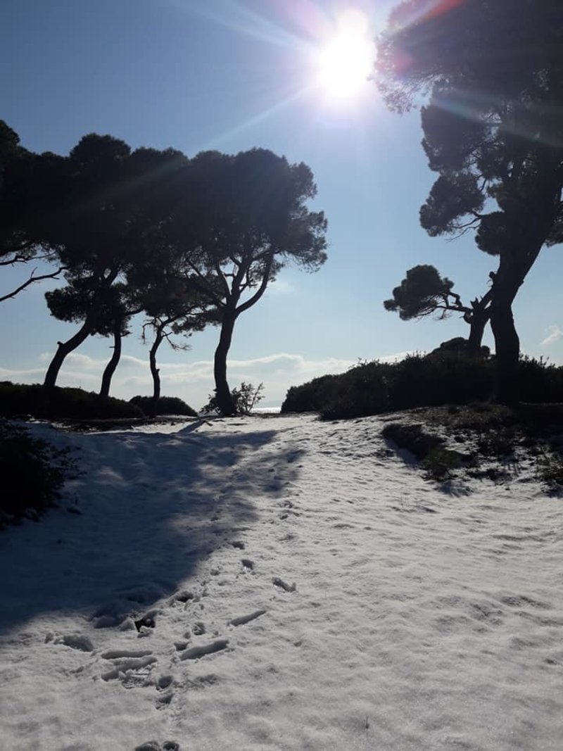 Κυριολεκτικά χιόνι μέχρι τη θάλασσα στον Σχινιά! Στα λευκά η αμμουδιά! [εικόνες] | iefimerida.gr 3