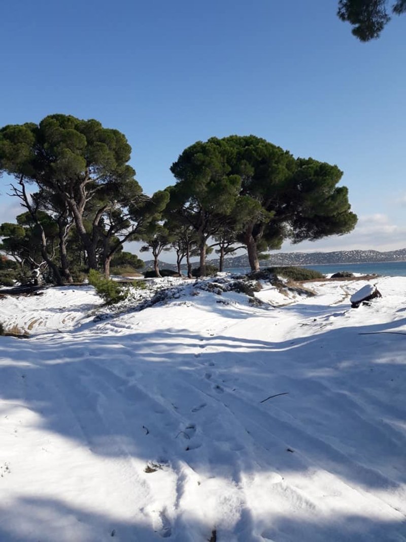 Κυριολεκτικά χιόνι μέχρι τη θάλασσα στον Σχινιά! Στα λευκά η αμμουδιά! [εικόνες] | iefimerida.gr 2
