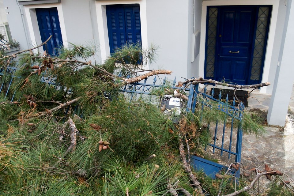 Δέντρο έπεσε πάνω σε σπίτι στο Μαρούσι [εικόνες] | iefimerida.gr 3