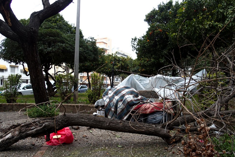 Δέντρο έπεσε πάνω σε σπίτι στο Μαρούσι [εικόνες] | iefimerida.gr 1
