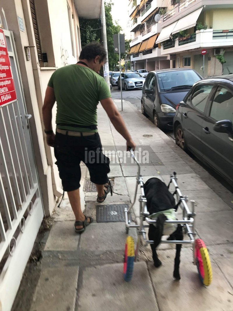 Ενας υδραυλικός στο Ιλιον φτιάχνει αναπηρικά αμαξίδια για ζώα και... τον ζητούν και από τις ΗΠΑ | iefimerida.gr 6