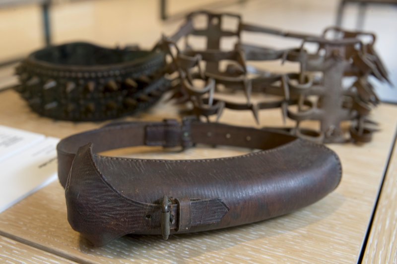 Ανοιξε το πρώτο μουσείο του Σκύλου -Με περισσότερα από 2.000 έργα τέχνης [εικόνες] | iefimerida.gr 6