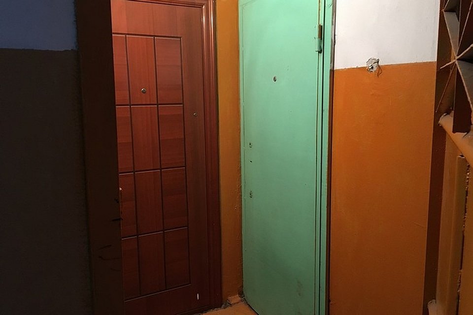 To συγκρότημα διαμερισμάτων και η πράσινη είσοδος του διαμερίσματος της 80χρονης (Φωτογραφίες: Комсомольская правда)