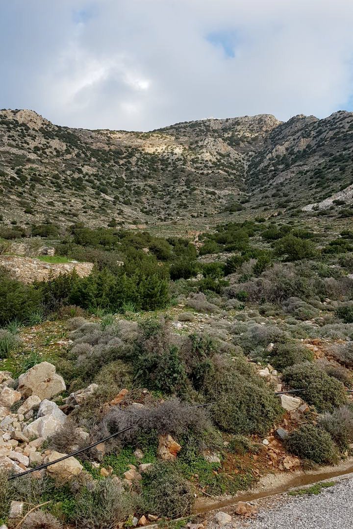Το κρησφύγετο βρέθηκε σε ορεινή περιοχή της Σίφνου.
