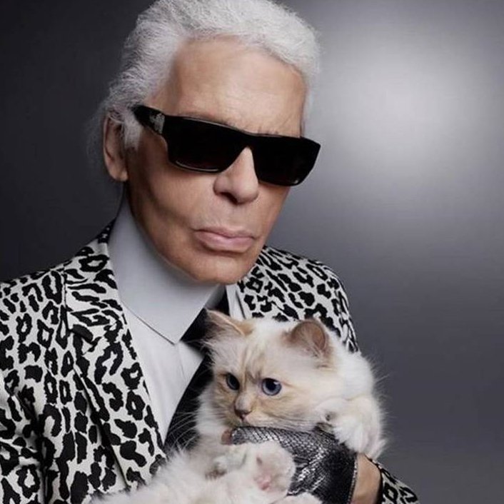 Η Choupette, η πιο διάσημη γάτα στον κόσμο, αποχαιρετά τον «πατέρα» της Karl Lagerfeld [εικόνες] | iefimerida.gr 3