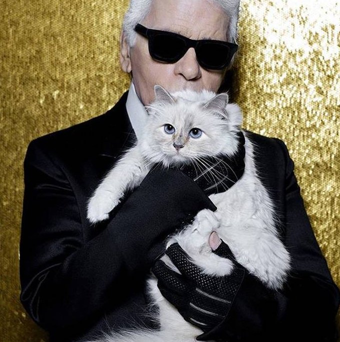 Η Choupette, η πιο διάσημη γάτα στον κόσμο, αποχαιρετά τον «πατέρα» της Karl Lagerfeld [εικόνες] | iefimerida.gr 2