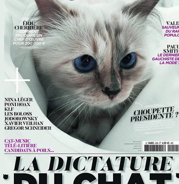 Η Choupette, η πιο διάσημη γάτα στον κόσμο, αποχαιρετά τον «πατέρα» της Karl Lagerfeld [εικόνες] | iefimerida.gr 1