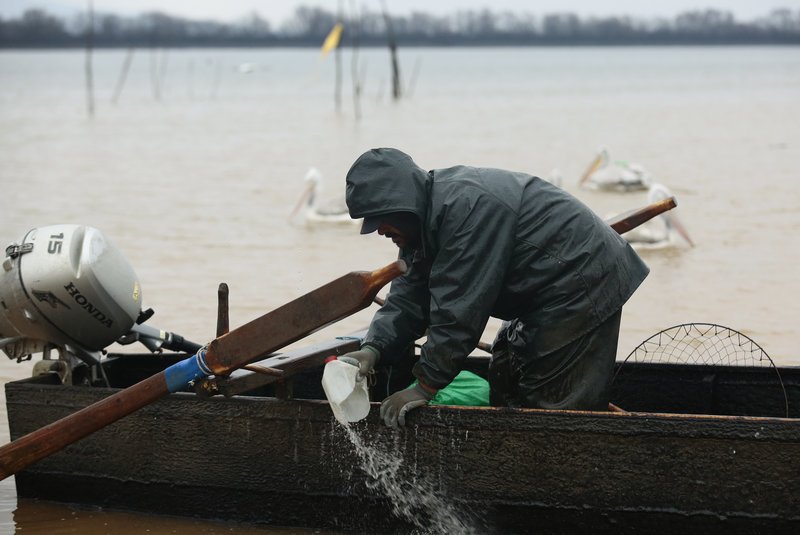 Λίμνη Κερκίνη: Εκεί που ψαράδες και αργυροπελεκάνοι ψαρεύουν παρέα και τα βουβάλια τους... χαζεύουν [εικόνες] | iefimerida.gr 2