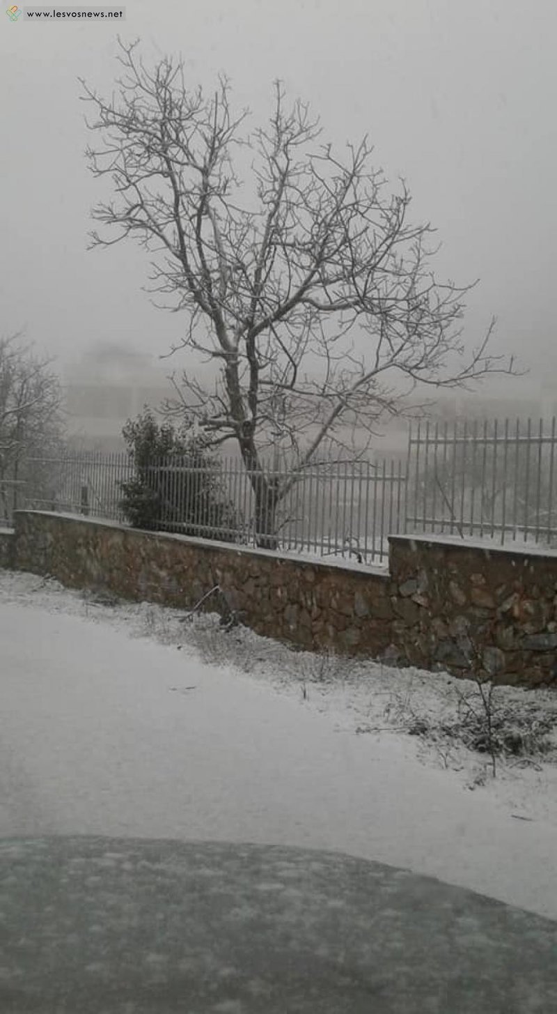 Πηγή: Lesvosnews.net