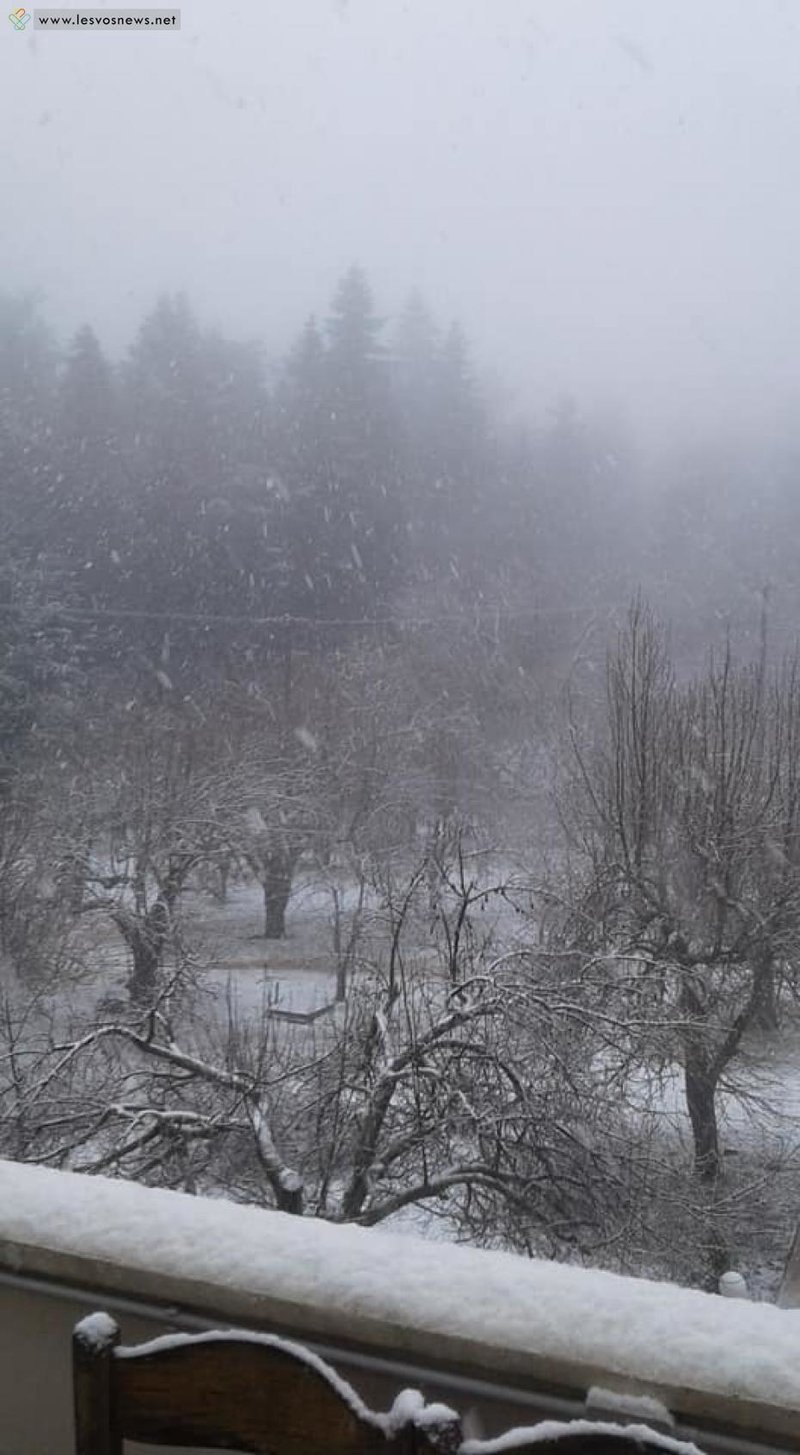 Πηγή: Lesvosnews.net
