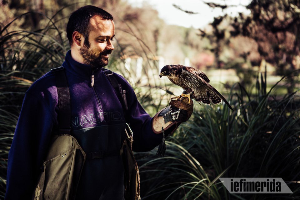 Σταύρος Αθανασίου και Ερμής