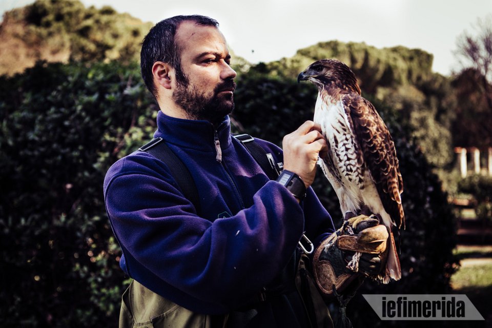 Η Ζήνα έχει στο ενεργητικό της ήδη δύο καταρρίψεις drones σε πραγματικές συνθήκες!