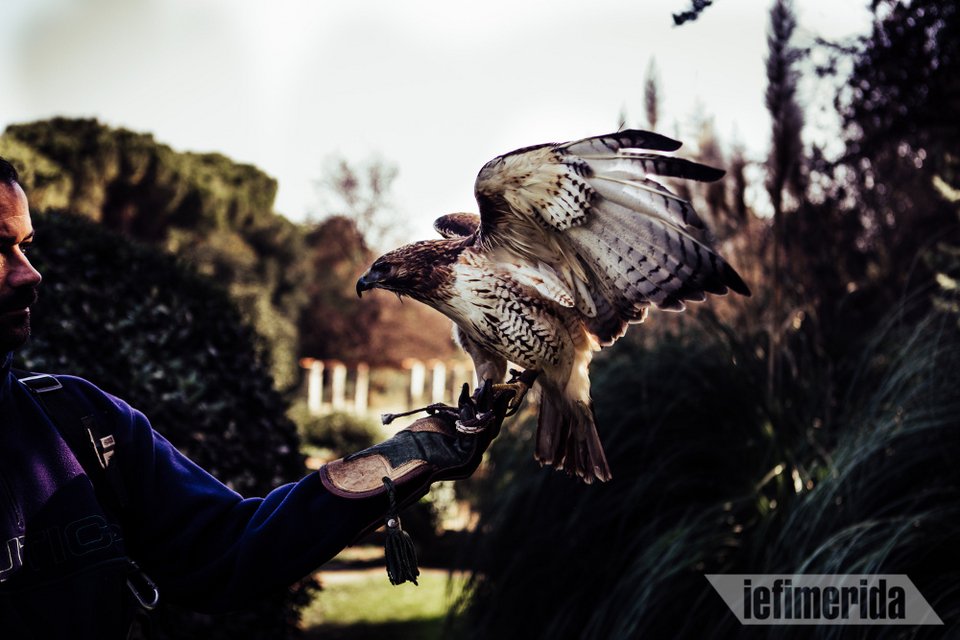 Πιστεύω ότι και στη χώρα μας σύντομα θα γίνει αντιληπτό πως αυτός είναι ο πλέον αξιόπιστος τρόπος για την θωράκιση ενάντια σε drones που πιθανόν να χρησιμοποιηθούν κακόβουλα, υποστηρίζει ο κ. Αθανασίου.