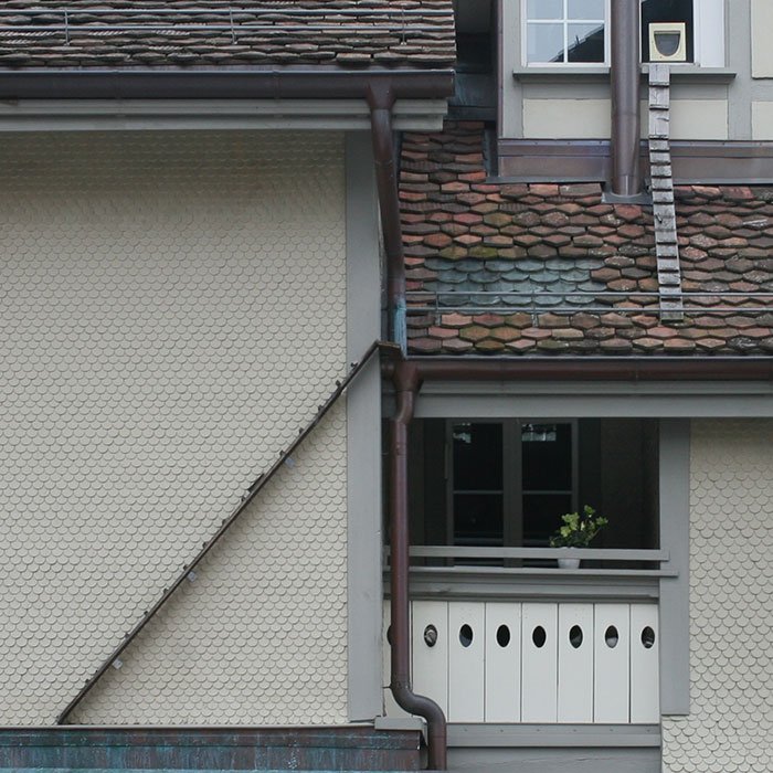 Το τρικ των Ελβετών για να ανεβαίνουν με άνεση οι γάτες στα κεραμίδια [εικόνες]  | iefimerida.gr 5