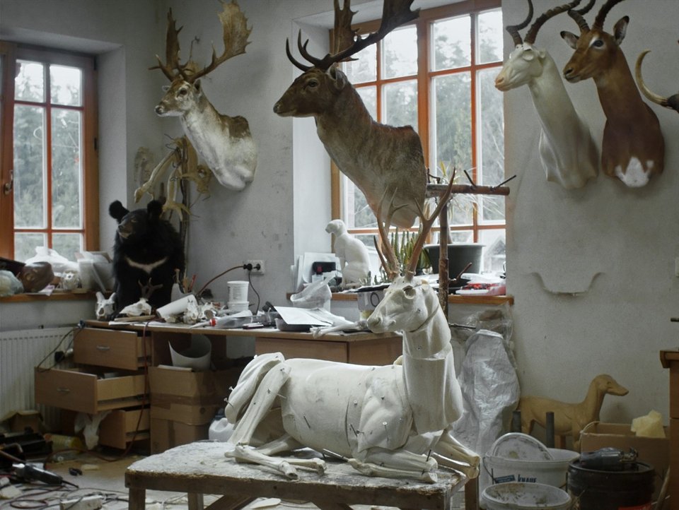 Animus Animalis (Α Story about People, Animals and Things) της Άιστι Ζεγκουλίτε