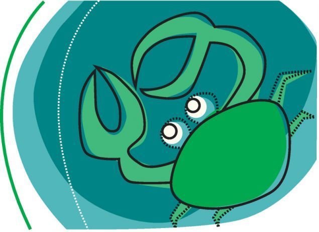 Τα 4 ζώδια που είναι πιο πιθανό να γίνουν χοντροί  | iefimerida.gr 1