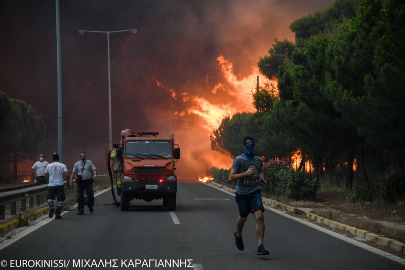 Διάλογοι-σοκ των «υπευθύνων» για Μάτι-Κινέτα: «Να καούν να βάλουν μυαλό τα όρνια» | iefimerida.gr 1