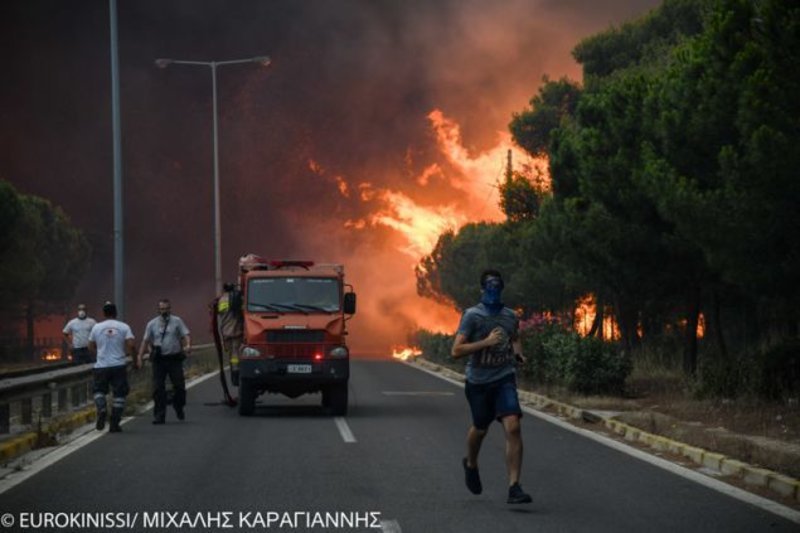Μάτι, διάλογοι χάους και ντροπής: Τα πυροσβεστικά δεν είναι ταξί, έρχονται κυρία μου, το κέρατό μου | iefimerida.gr 5