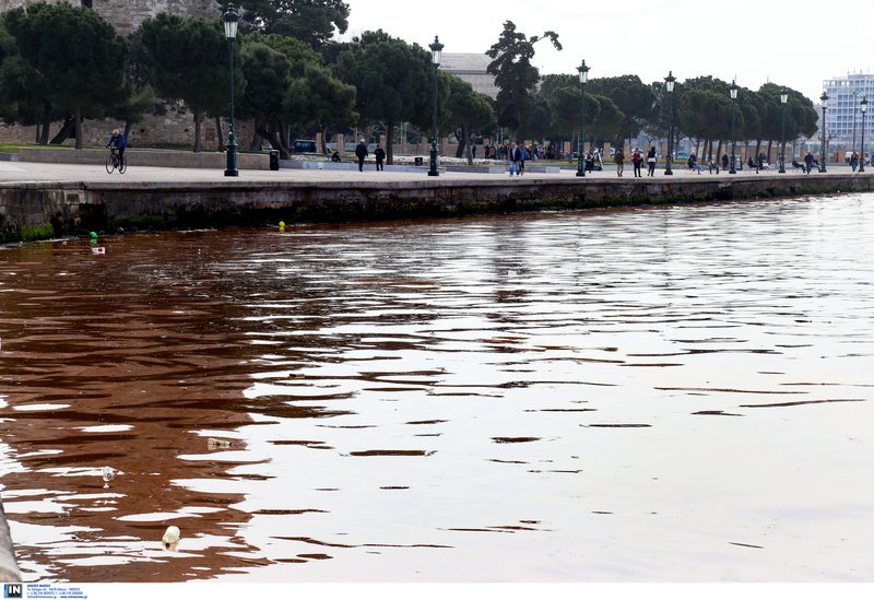 Το φαινόμενο της ερυθράς παλίρροιας στον Θερμαϊκό