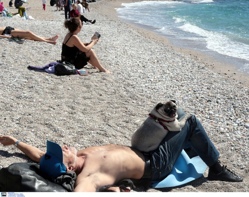 Κάποιοι έβαλαν μαγιό και άλλοι πέταξαν χαρταετό -Κούλουμα στην παραλία του Παλαιού Φαλήρου [εικόνες] | iefimerida.gr 4