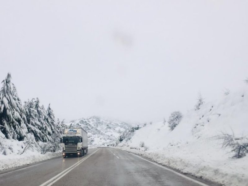 Κατάλευκο τοπίο το πρωί στη Φθιώτιδα / Φωτογραφία: LamiaNow