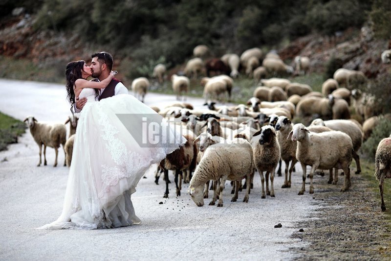 Μια απόλυτα ανατρεπτική φωτογράφιση γάμου: Κόντρες στα χιόνια, βουτιές σε λίμνη και... μπουγέλωμα της νύφης [εικόνες & βίντεο] | iefimerida.gr 0