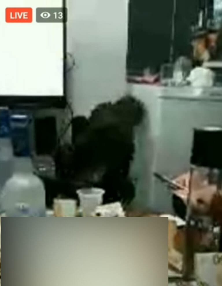 Αλβανοί κρατούμενοι κάνουν πάρτι στο κελί τους στον Κορυδαλλό – Ποτά, πακέτα από χαρτονομίσματα, καλοπέραση [βίντεο] | iefimerida.gr 0