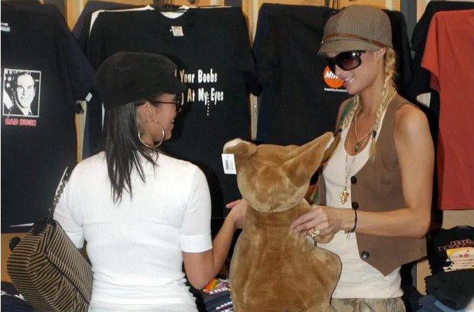 Οταν η Κιμ Καρντάσιαν ήταν το «σκυλάκι» της Πάρις Χίλτον- Πόσο έχει αλλάξει η ζωή της από τότε [εικόνες]  | iefimerida.gr 5