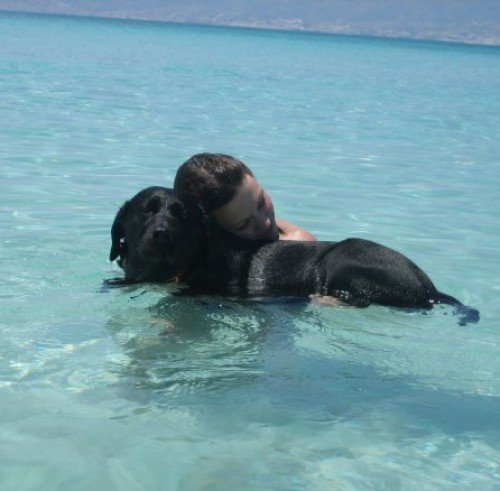 Πέθανε η Λάρα, ο πρώτος σκύλος οδηγός τυφλών στην Ελλάδα | iefimerida.gr 1