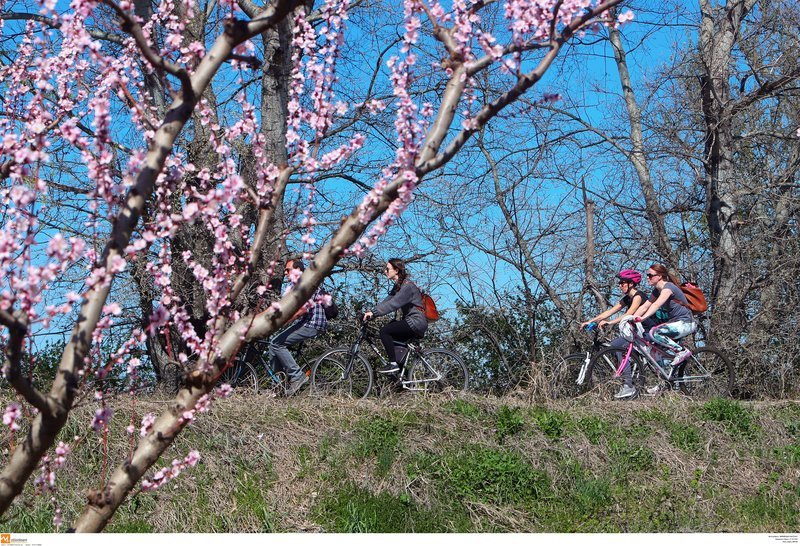 Μοναδικές εικόνες: Ποδηλατάδα στις ανθισμένες ροδακινιές της Βέροιας [εικόνες] | iefimerida.gr 2