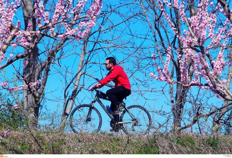 Μοναδικές εικόνες: Ποδηλατάδα στις ανθισμένες ροδακινιές της Βέροιας [εικόνες] | iefimerida.gr 6
