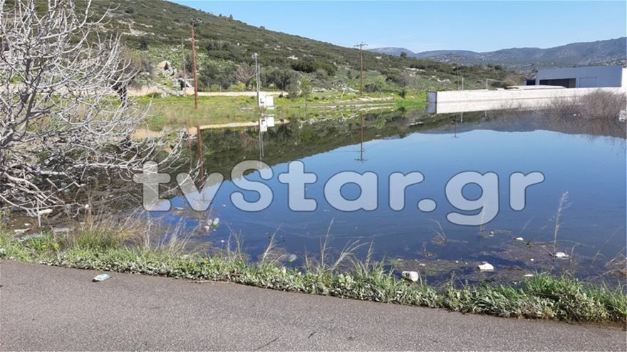 Απίστευτες πλημμύρες στη Χαλκίδα, παρά τον ήλιο -Αναβλύζει η γη νερό, από τις προηγούμενες βροχές [εικόνες] | iefimerida.gr 3