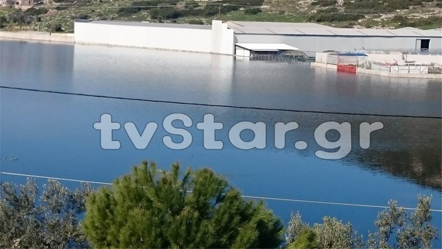 Απίστευτες πλημμύρες στη Χαλκίδα, παρά τον ήλιο -Αναβλύζει η γη νερό, από τις προηγούμενες βροχές [εικόνες] | iefimerida.gr 1