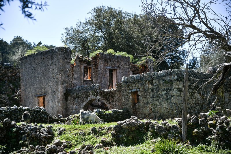 Αράδαινα: Το μικρό χωριό στα Σφακιά που ερήμωσε εξαιτίας μιας βεντέτας [εικόνες] | iefimerida.gr 8