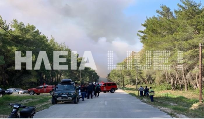 Ανεξέλεγκτη η μεγάλη πυρκαγιά στο δάσος Στροφυλιάς -Καίγεται σπάνιο οικοσύστημα [εικόνες & βίντεο] | iefimerida.gr 1